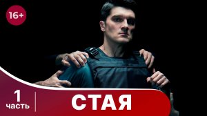 Стая. Все серии с 1 по 4. Криминальный боевик. Смотреть онлайн в хорошем качестве