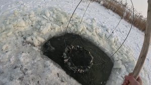 ЖЕСТЬ! ОН ТРЕЩАЛ И РВАЛСЯ,Я НЕ МОГ ЕГО ПОДНЯТЬ ИЗ ВОДЫ!!! ПАУК ПОЛНЫЙ РЫБЫ НА КАЖДОМ ПОДЪЁМЕ!!!