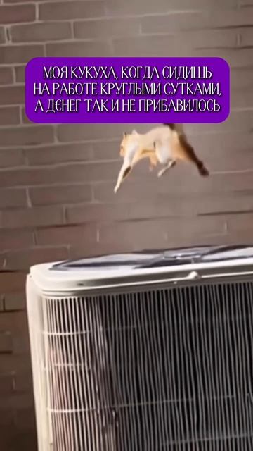 Забирайте бесплатный мастер-класс по самой востребованной digital-профессии 2026. Ссылка в описании