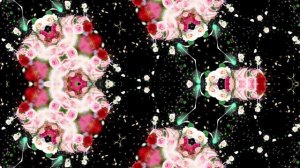 Футажи! Футаж Букеты роз К 6 от Киностудии Мудрого Кота Тимофея!!!