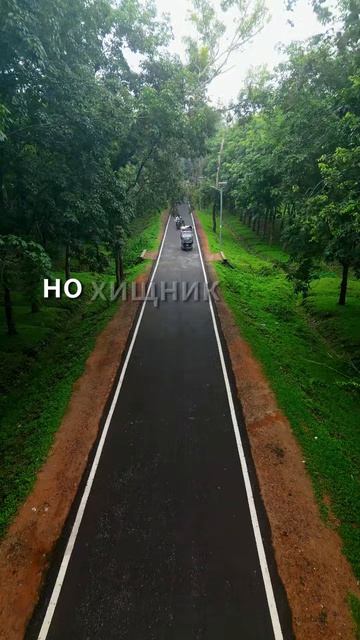 Интересные истории