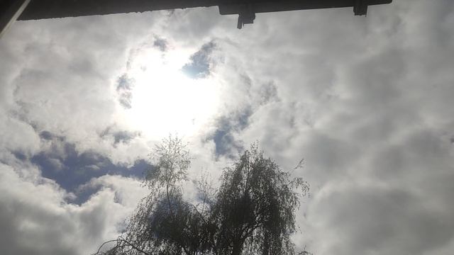 СЕНСАЦИЯ 24 апреля магический ☀️ прогноз погоды от волшебника