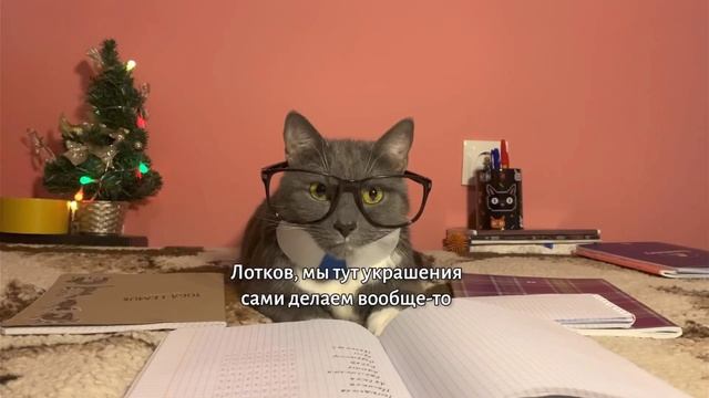 видео с канала котинет: ЕСЛИ БЫ КОТИКИ ХОДИЛИ В ШКОЛУ-УТКА И ЛОТКОВ ВСТРЕЧАЮТ НОВЫЙ ГОД