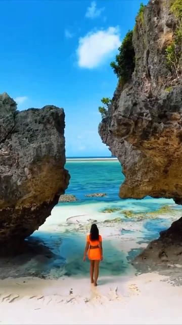 MOV_20260424_134927_382.mp4