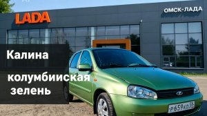 Калина колумбийская зелень 🌿