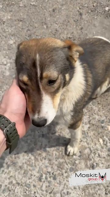 Мои корешочки, всегда улыбают