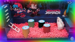 Приключения хомяков в лабиринте: найдут ли они выход?!... часть 6