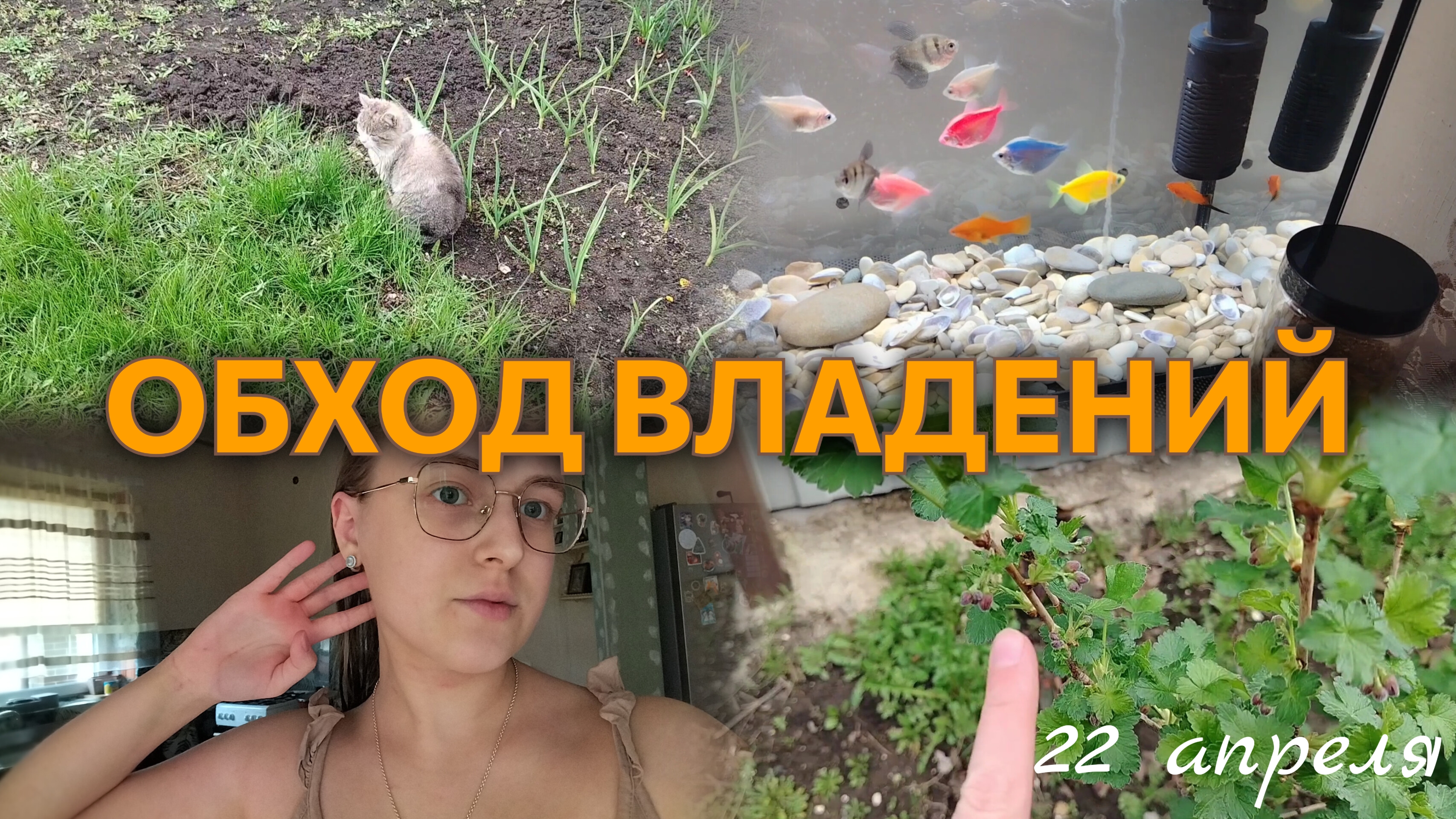 ВЛОГ Утренняя ПРОГУЛКА🌳 История про рыбок🐟
