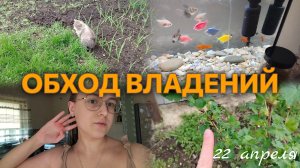 ВЛОГ Утренняя ПРОГУЛКА🌳 История про рыбок🐟