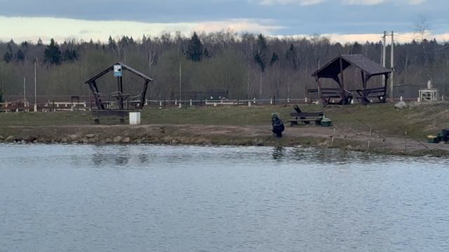 Очередная поимка форели