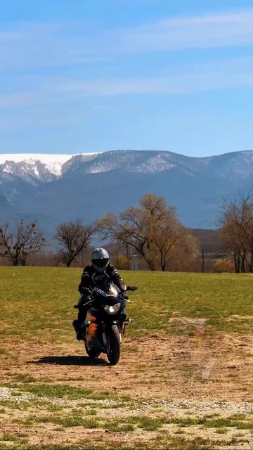 🫶За красотой сюда 44.588608, 33.921945