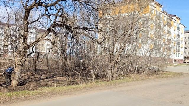 1. Прогулка . Биробиджан. 24.04.026г.