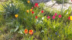 Покос травы на даче.