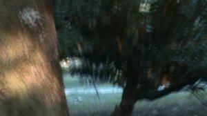 152)з ДЕНДАРИ ПАРК СОЧИ