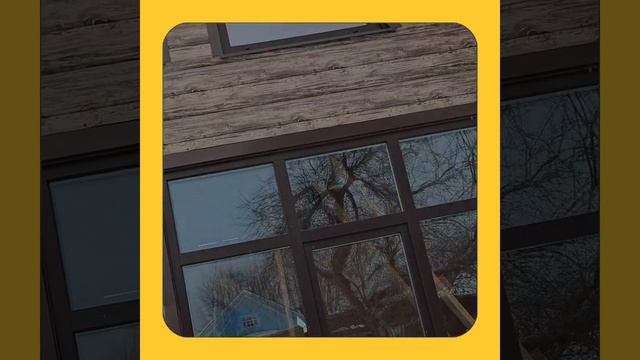 1000056965.mp4 (Собака наблюдает за устройством лестницы на 2-ой этаж в доме А-фрейм)