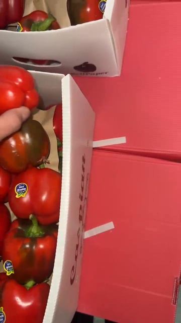 Перец красный 2 сорт из Ирана