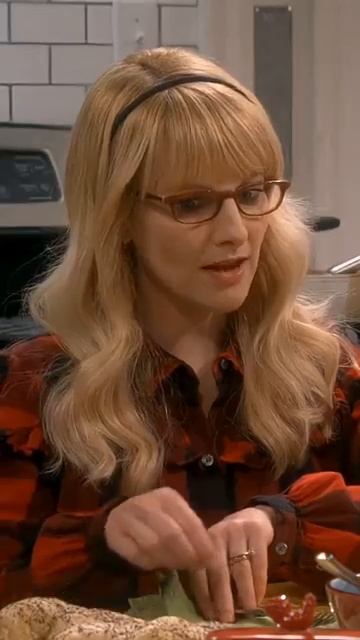 Теория большого взрыва The Big Bang Theory Howard and Rajesh Indian-Jew funny series friends