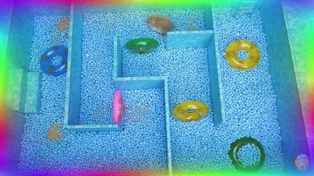 Хомяк-исследователь покоряет мир миньонов! часть 6