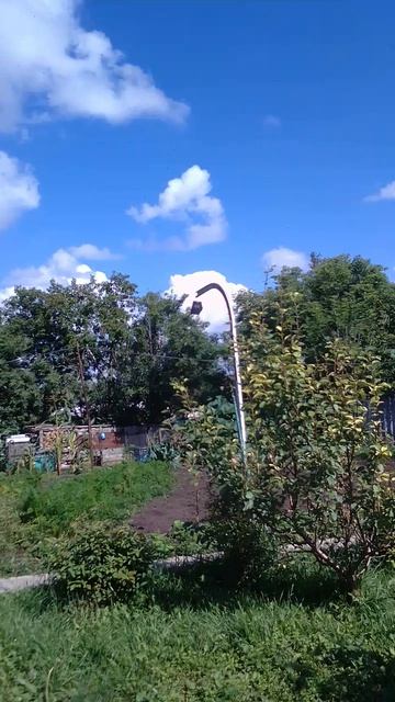 без слов......