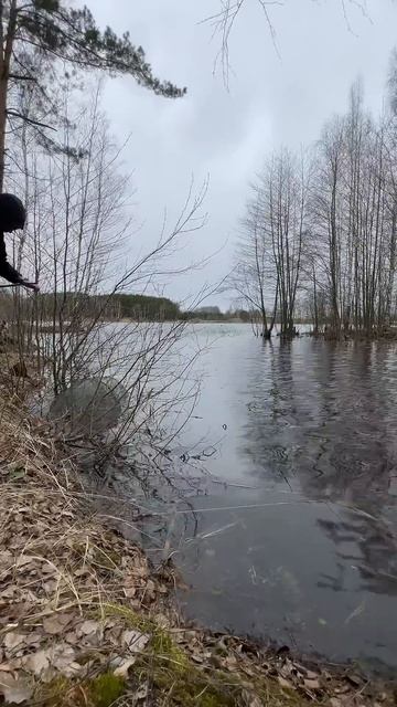 Есть ли раки в этом водоеме? Проверяю...