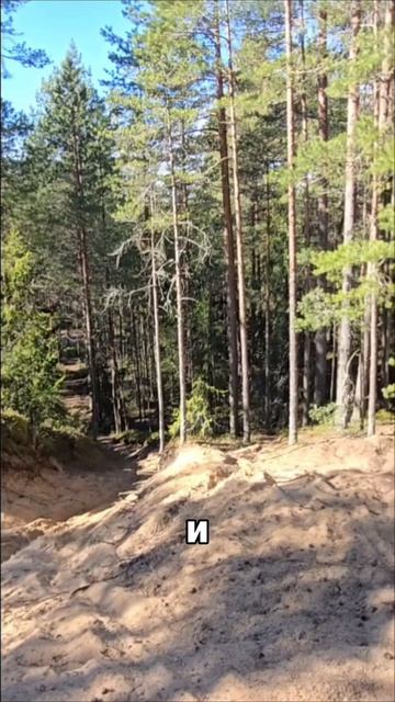 Первый весенний выезд