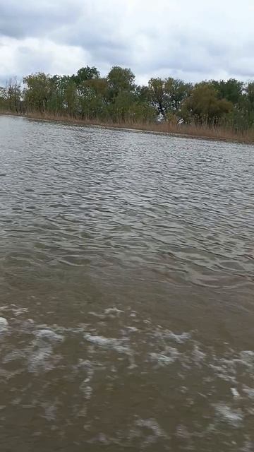 Mesan 9.9 15  20  30  40 л.с.