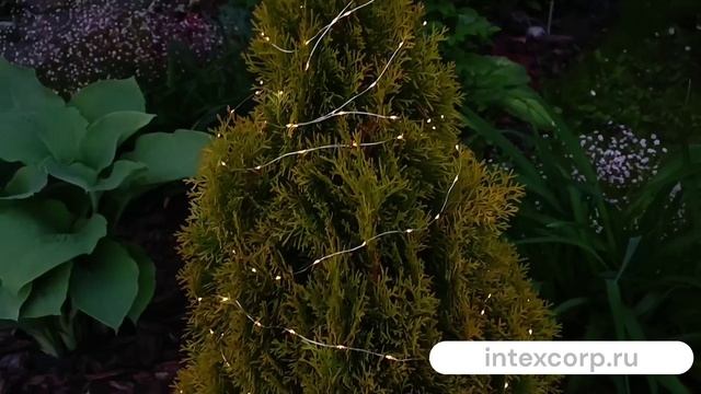 Садовая гирлянда Solar РОСА на солнечной батарее 100 тёплых белых микро LED-огней 52 м CZ6500700