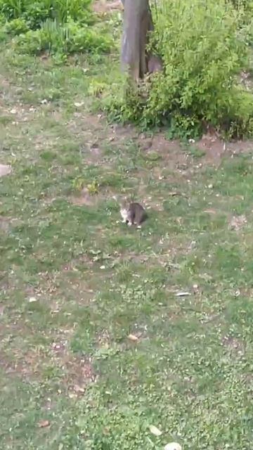 Ферма в сборе