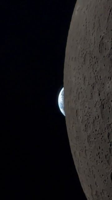 Накормите Артемиду!