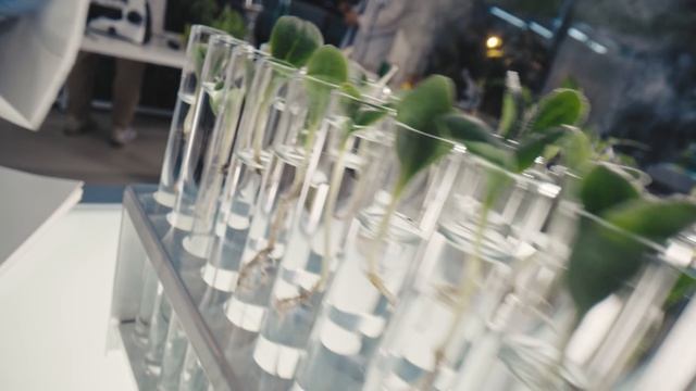 Профессионалитет