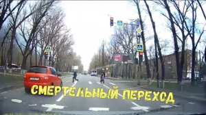 СМЕРТЕЛЬНЫЙ ПЕРЕХОД\\самокаты сбивают\на красный\водитель не видел\ берегите своих питомцев\лось\