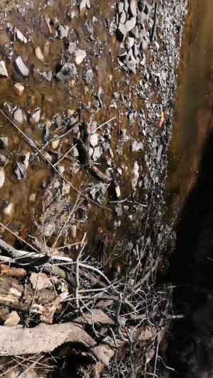 Просто гуляем