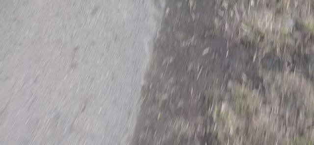 Умотала В гости