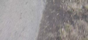 Умотала В гости