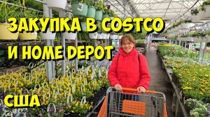 США. Закупка в Costco и Home Depot