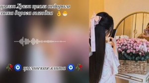 новая цыганская песня  полька Александр жмура для настроения