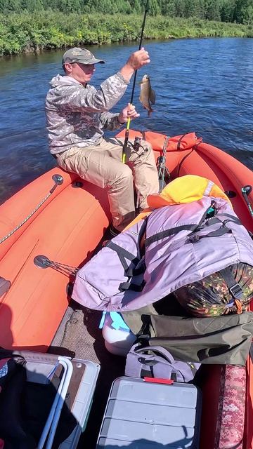 25 см. это тоже незачетный!?