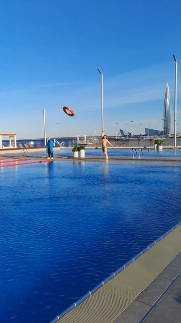 Гуси-Лебеди на Финском заливе в апреле 2026