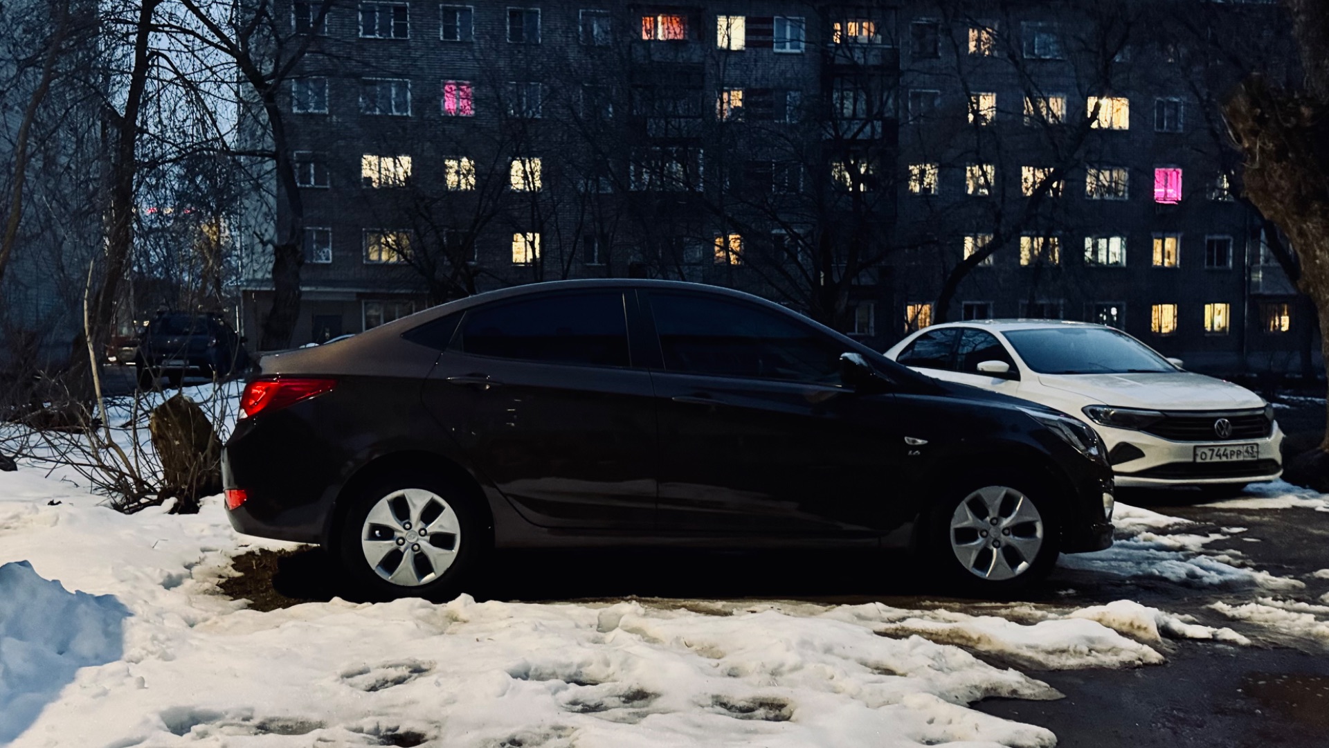 Solaris Brown общий вид II