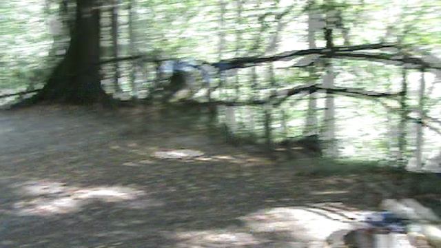 163)и МАМЕДОВОЕ УЩЕЛЬЕ ВИОЛЕТТА