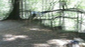 163)и МАМЕДОВОЕ УЩЕЛЬЕ ВИОЛЕТТА