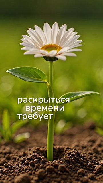 Призвание это не то что вы думаете