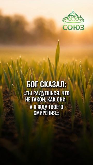 Про духовную гордость - тихие заповеди