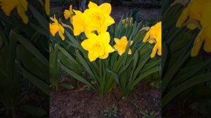 Наши отношения.