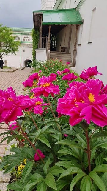 Мир прекрасен. Троице-Сергиева лавра.