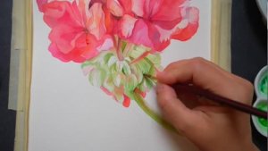 КАК НАРИСОВАТЬ СТЕБЛИ ЦВЕТОВ 🌸 Техники и советы по акварели для начинающих