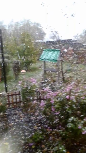 каприз осени