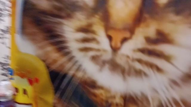 Мой выходной 🎀🌷🧼