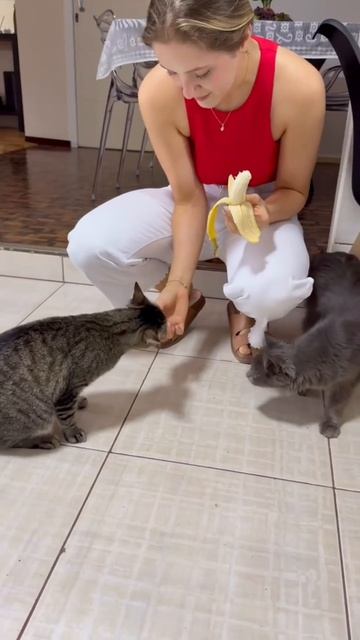 video_2026-03-03_10-06-10