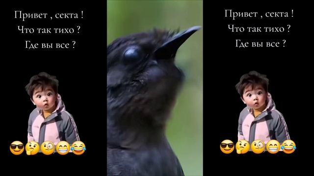 А вы знаете языки животных...